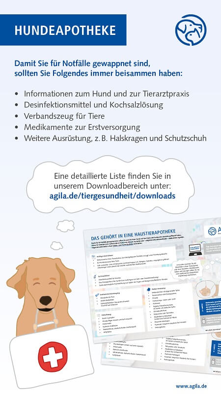 Reiseapotheke für Hunde: Erste Hilfe im Urlaub - AGILA