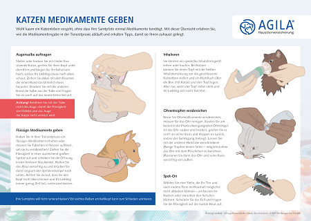 Medikamente verabreichen bei der Katze