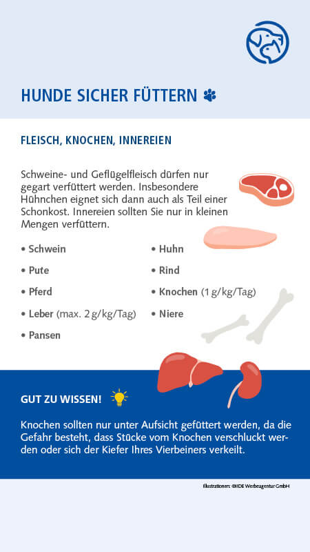 Sichere Lebensmittel für Hunde