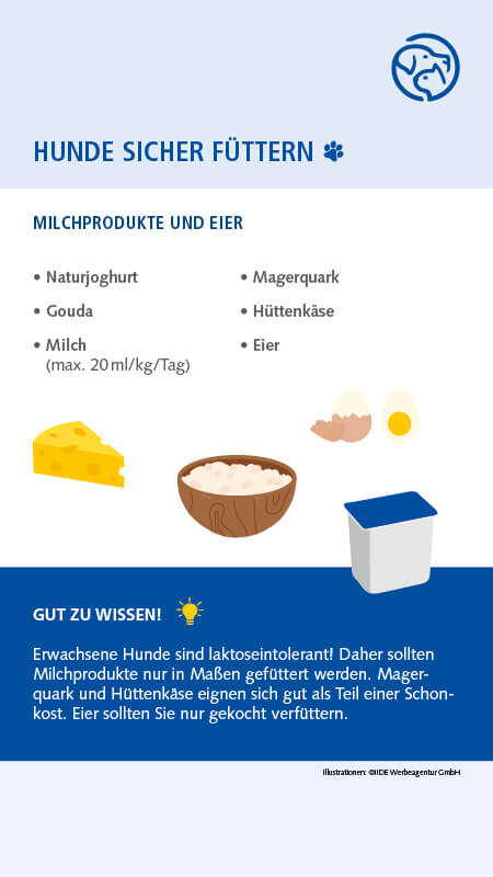Sichere Lebensmittel für Hunde