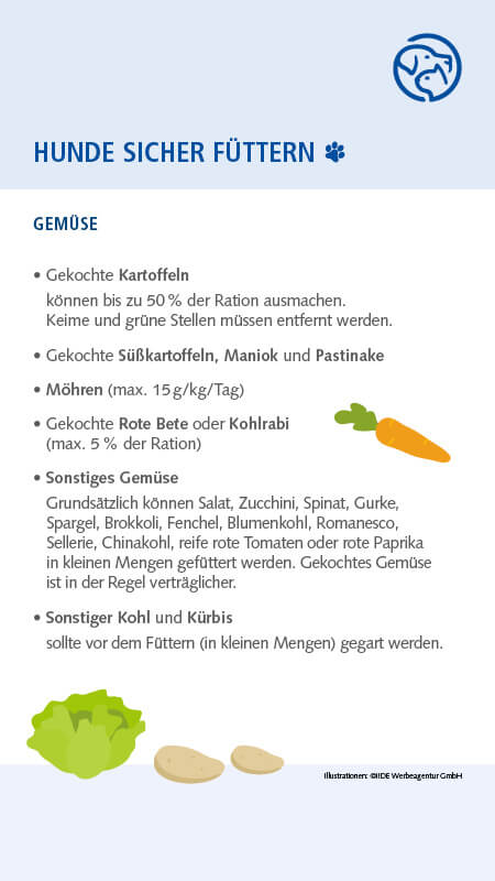 Sichere Lebensmittel für Hunde