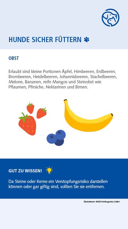 Sichere Lebensmittel für Hunde