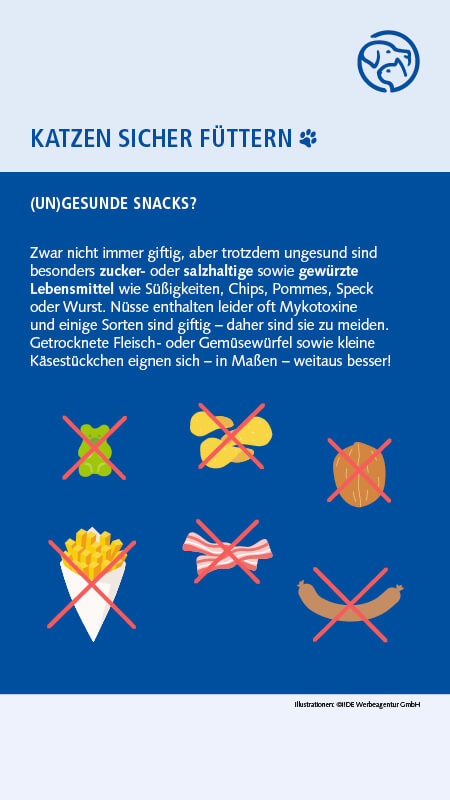 Sichere Lebensmittel für Katzen