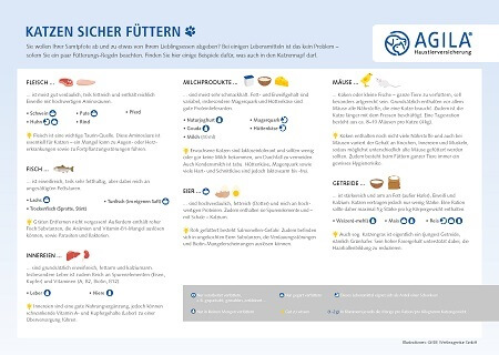 Sichere Lebensmittel für Katzen - Vorschau