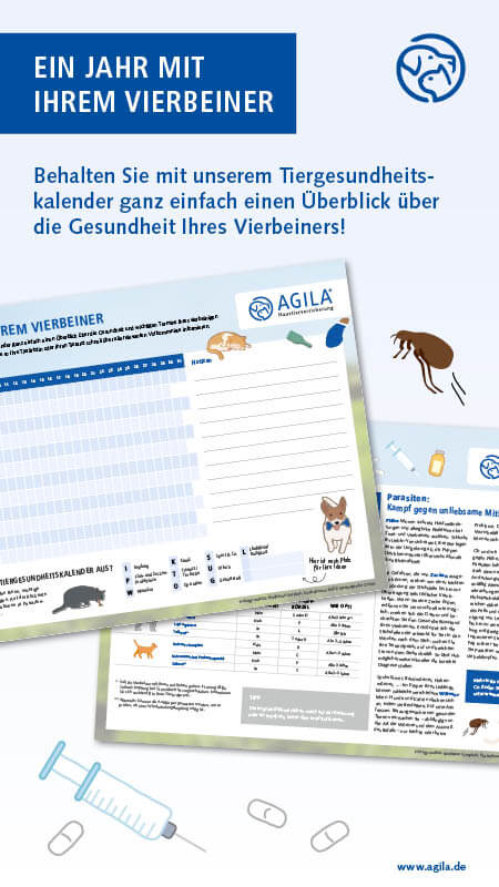 Tiergesundheitskalender - AGILA Infografik