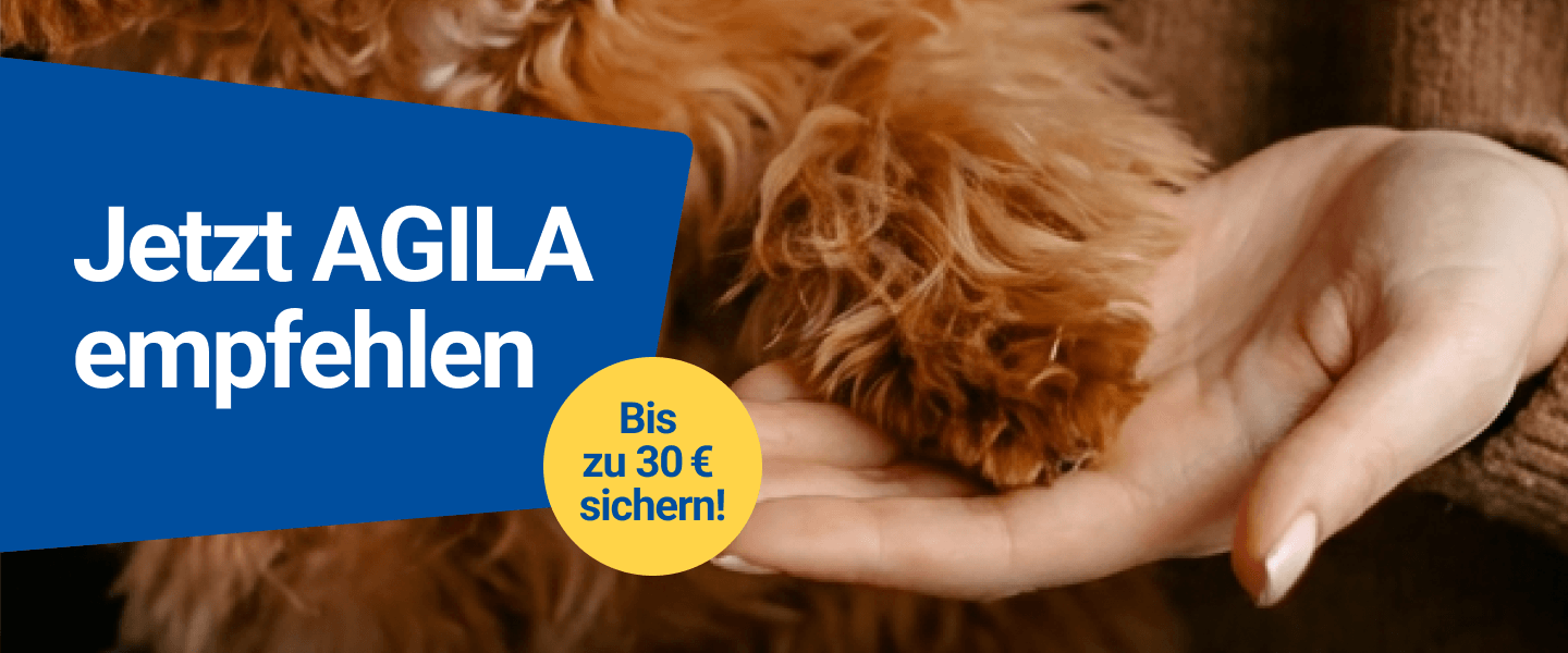 AGILA kwk hund banner 1440x600 03 26.png