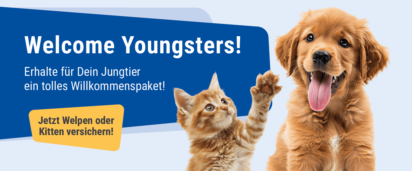 agila puppy kampagne banner 1440x600