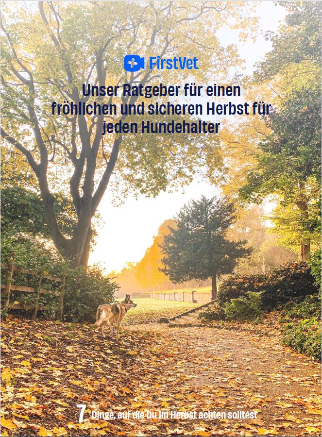 Gesund Und Munter Mit Hund Durch Den Herbst – AGILA