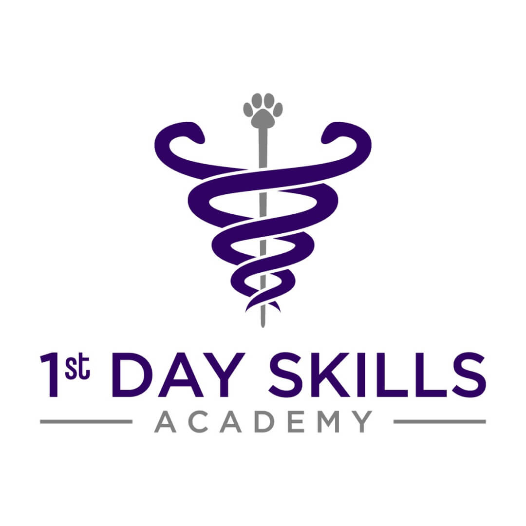 Logo 1st Day Skills Academy 2023 09 20