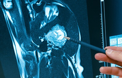 CT und MRT bei Hund und Katze