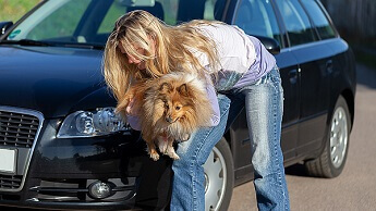 Rettung eines Hundes nach Verkehrsunfall