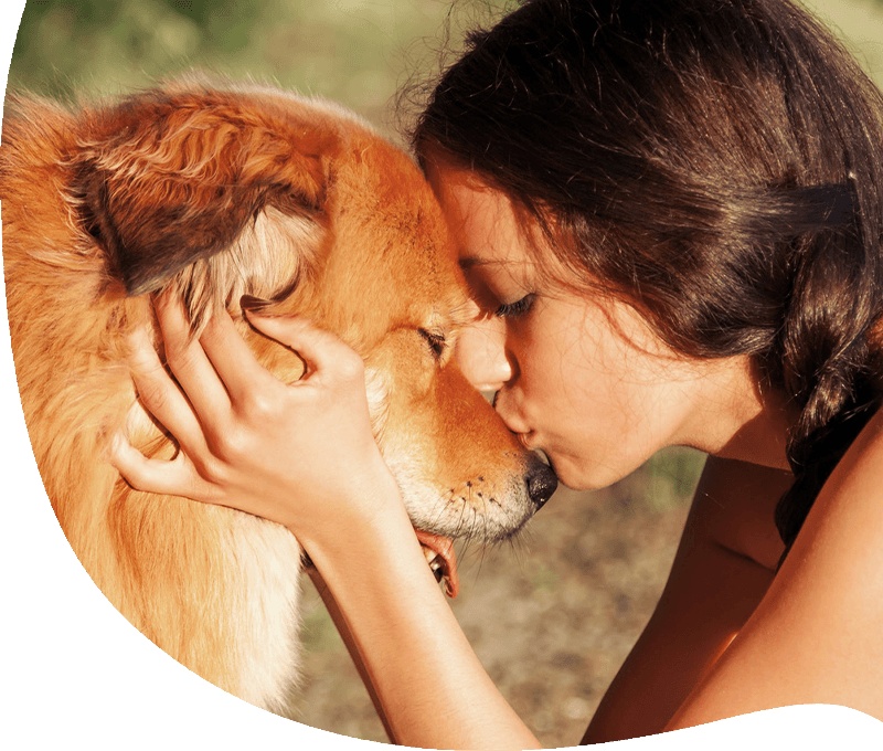 Hundeversicherung