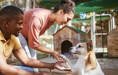 Auslandstierschutz: Tierschutz im Ausland