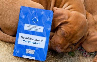 Beantragung des EU- Heimtierausweises