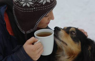 Einfach Wau - Weihnachtsmärkte für Hunde