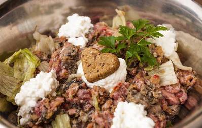 Fette Katze: Diät für Katzen