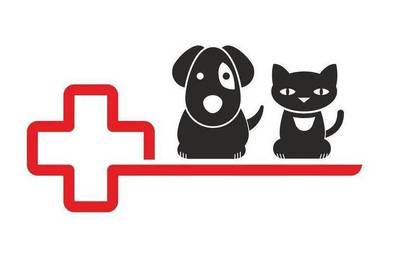 Hüftprobleme bei Hund und Katze
