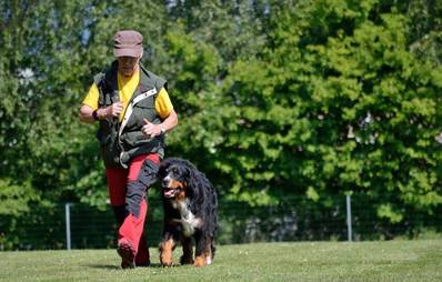 Hundeschule: Hilfe bei der Hundeerziehung