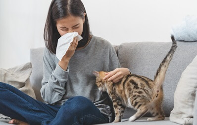Frau niest neben Katze - Katzenallergie
