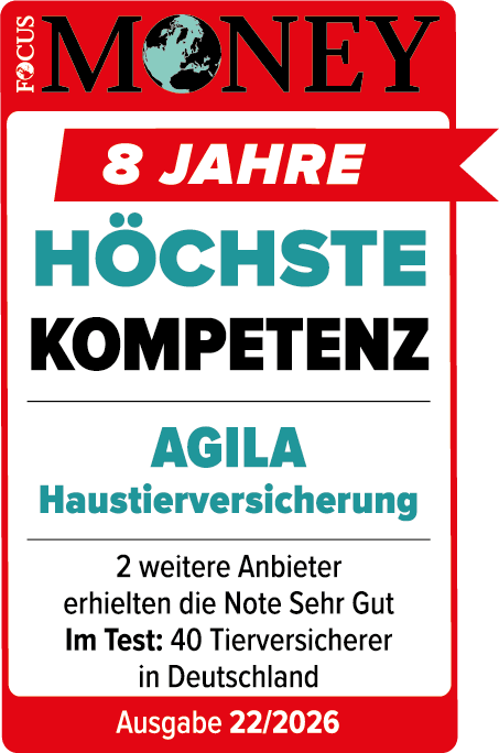 focus-money-kompetenz